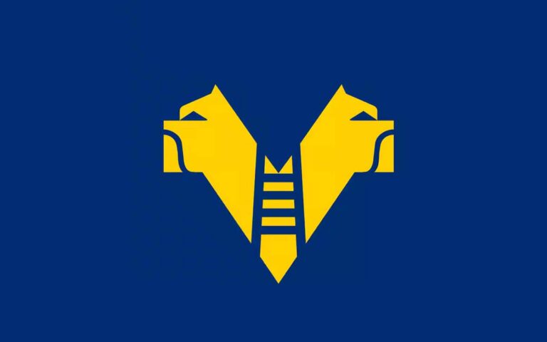 Serie A – Hellas Verona, il ds Sogliano prepara un nuovo colpo di calciomercato: tutti i dettagli